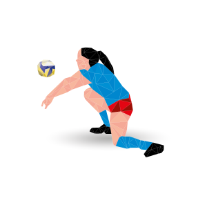 PALLAVOLO