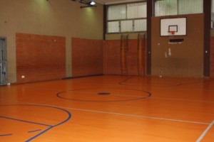 palb2